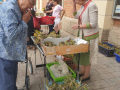 IMG-20220918-WA0011