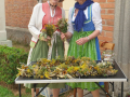 IMG-20220918-WA0012
