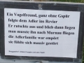 DSCF3429