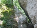 P1170944