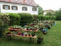 DSC00953