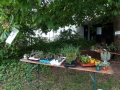 DSC00958