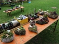 DSC00967